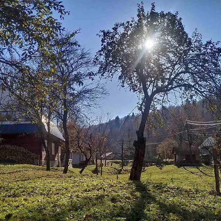 Na Luzi Verkhne-Studenyy