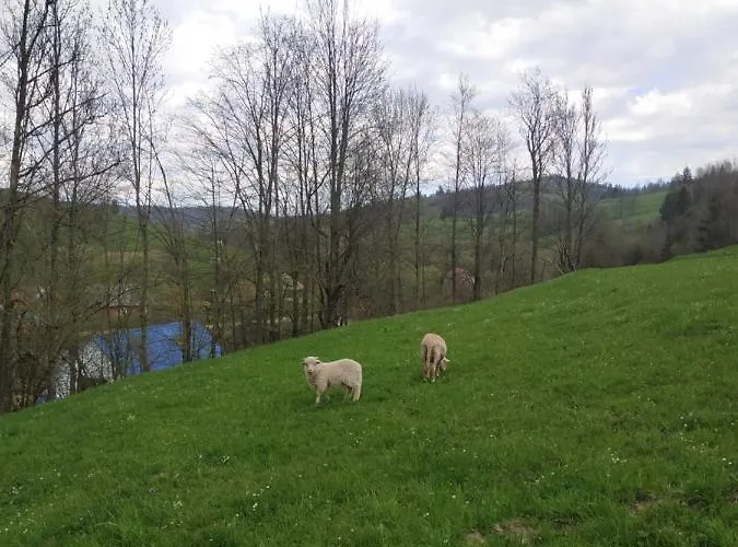 Na Luzi Feriehus